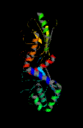 The Protein Corpus